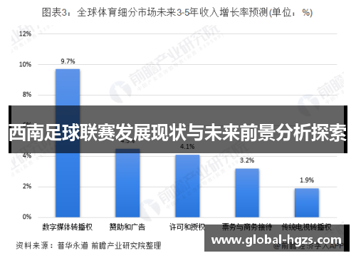 西南足球联赛发展现状与未来前景分析探索